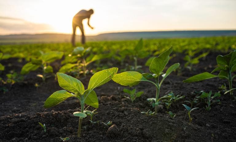 End-to-End Vendor Query Automation for a Global Enterprise